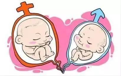 试管代妈公司代生生男孩